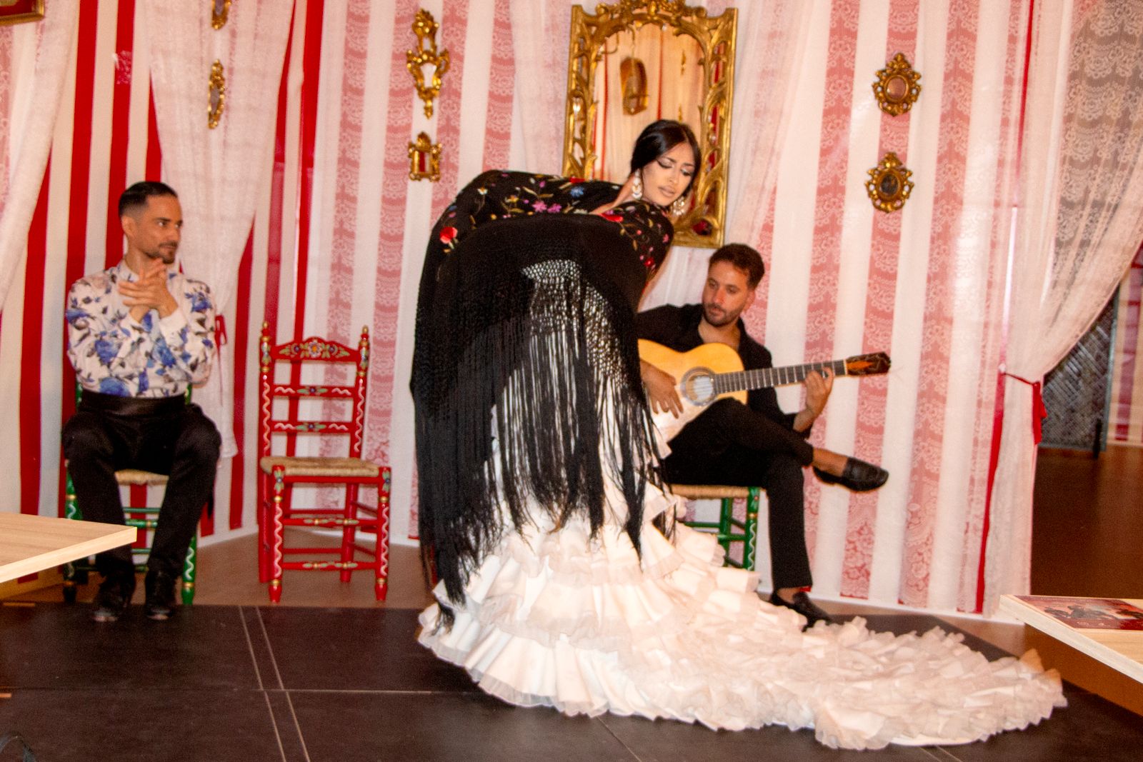 Galería-flamenco-1