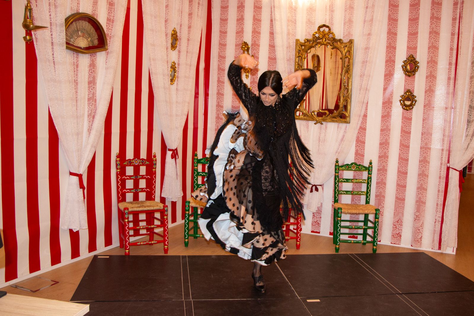 Galería-flamenco-12